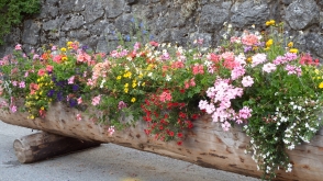 flower-trough